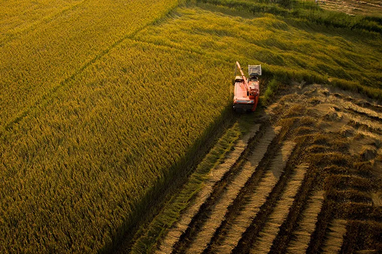 Da Nang's terrain is a combination of hills and coastal plains