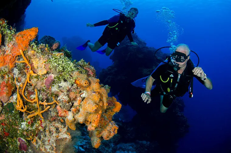 Visitors can explore the dazzling ocean world when scuba diving 