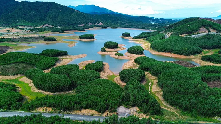 Rich Ecosystem in Ha Long Bay.