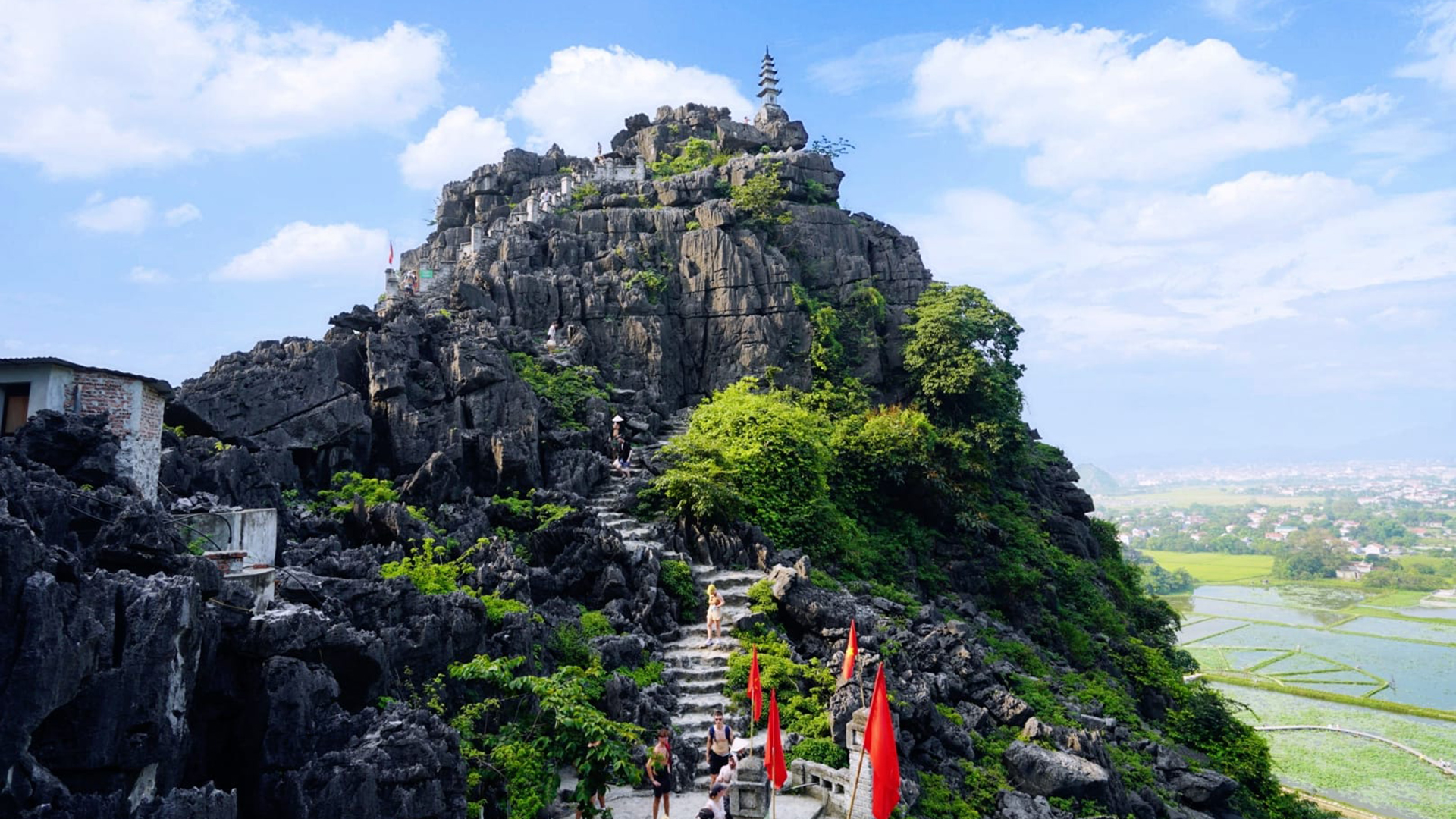 Day tour | Visit Hoa Lu - Tam Coc - Hang Mua - Cycling | Ninh Binh