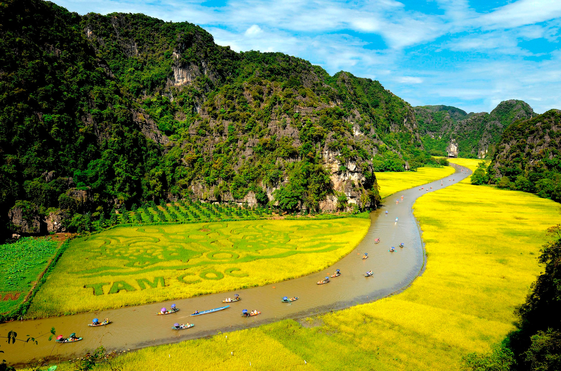 Tour 2N1D | Tham quan Hoa Lư – Tam Cốc – Hang Múa – Bái Đính - Tràng An | Ninh Bình