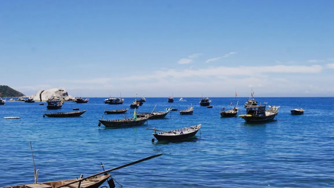 Day Tour | Snorkeling Excursion at Cu Lao Cham - Departure from Da Nang