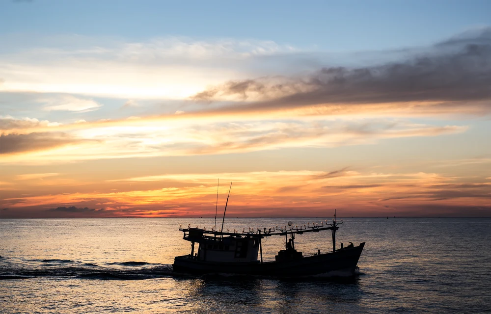 Tour Trong Ngày | Trải Nghiệm Ngắm Hoàng Hôn & Câu Mực Đêm