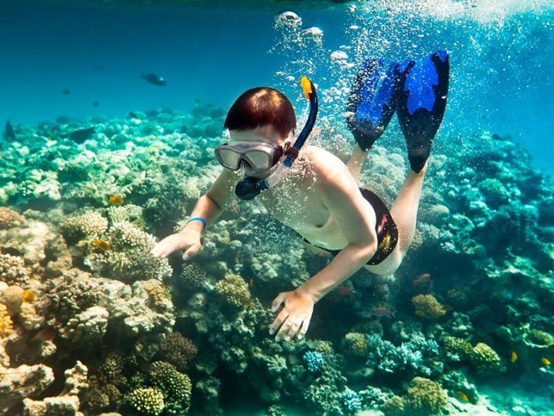 Day Tour | Nha Trang Underwater Walking Tour