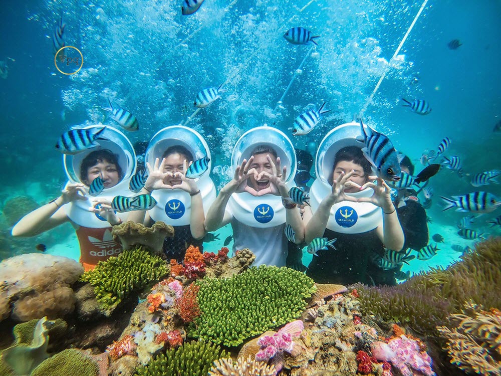 Day Tour | Nha Trang Underwater Walking Tour