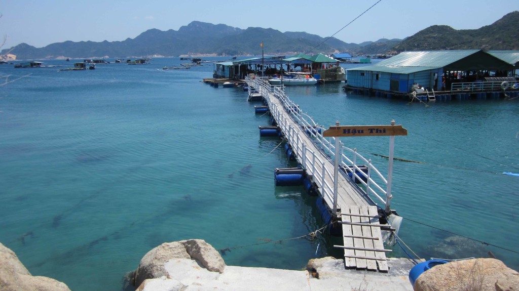 Day Tour | Hon Mun - Hon Tam by Speedboat (Including Mud Bath)