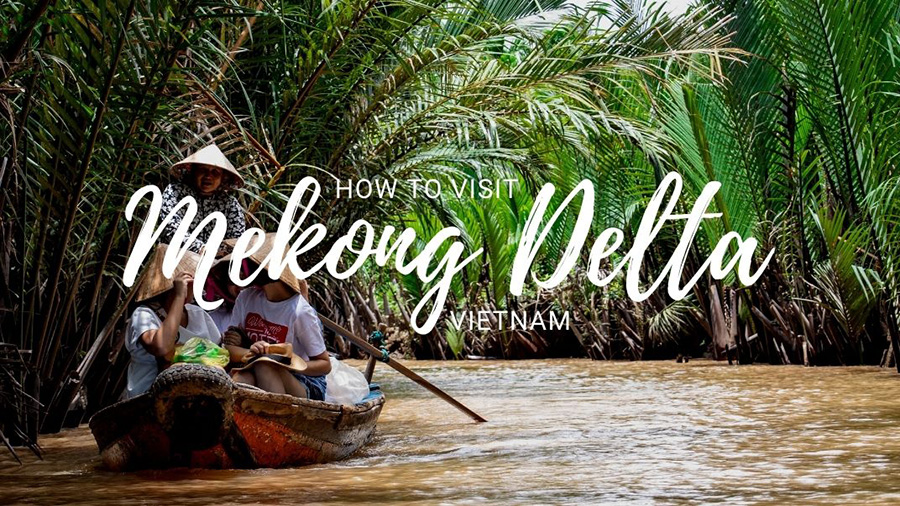 Tour Trong Ngày | Tham Quan Mê Kông Khởi Hành Từ Thành Phố Hồ Chí Minh