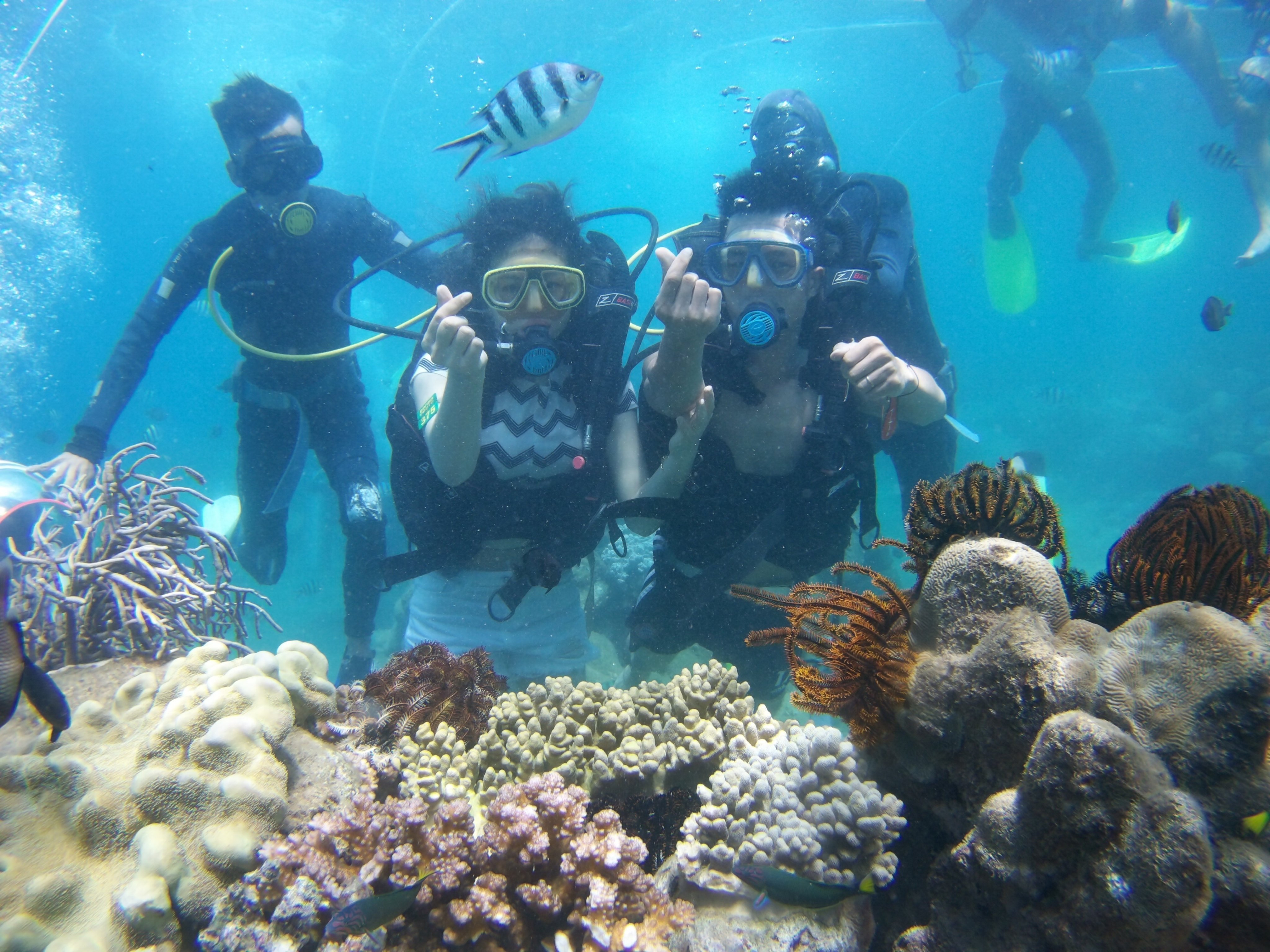 Day Tour | Sea Walking or Scuba Diving with Oxygen Tank Experience in Phu Quoc