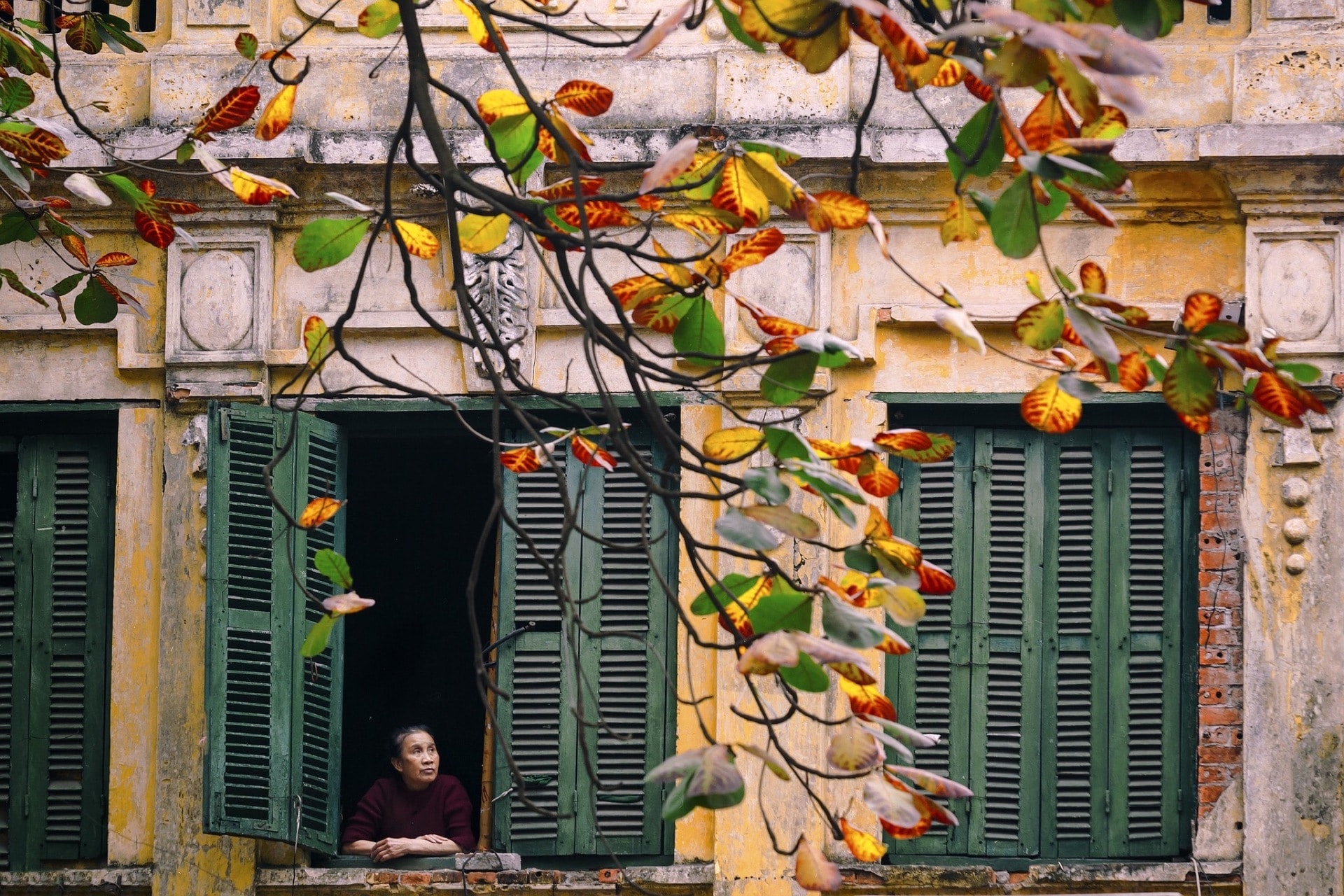 Hanoi Old Quarter Walking Tour In 3 Hours