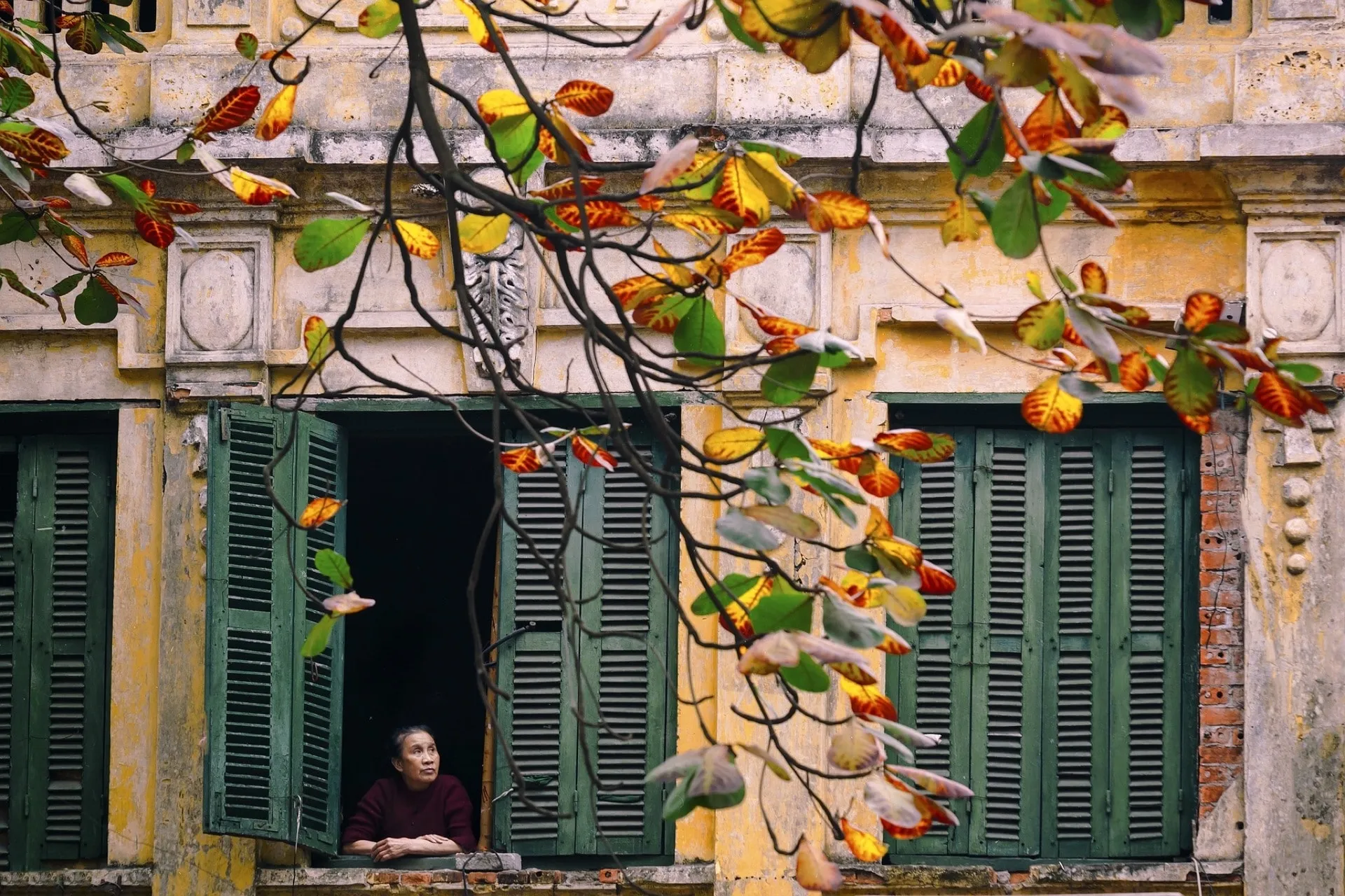 03 Hours Hanoi Old Quarter Walking Tour (No Food Included)