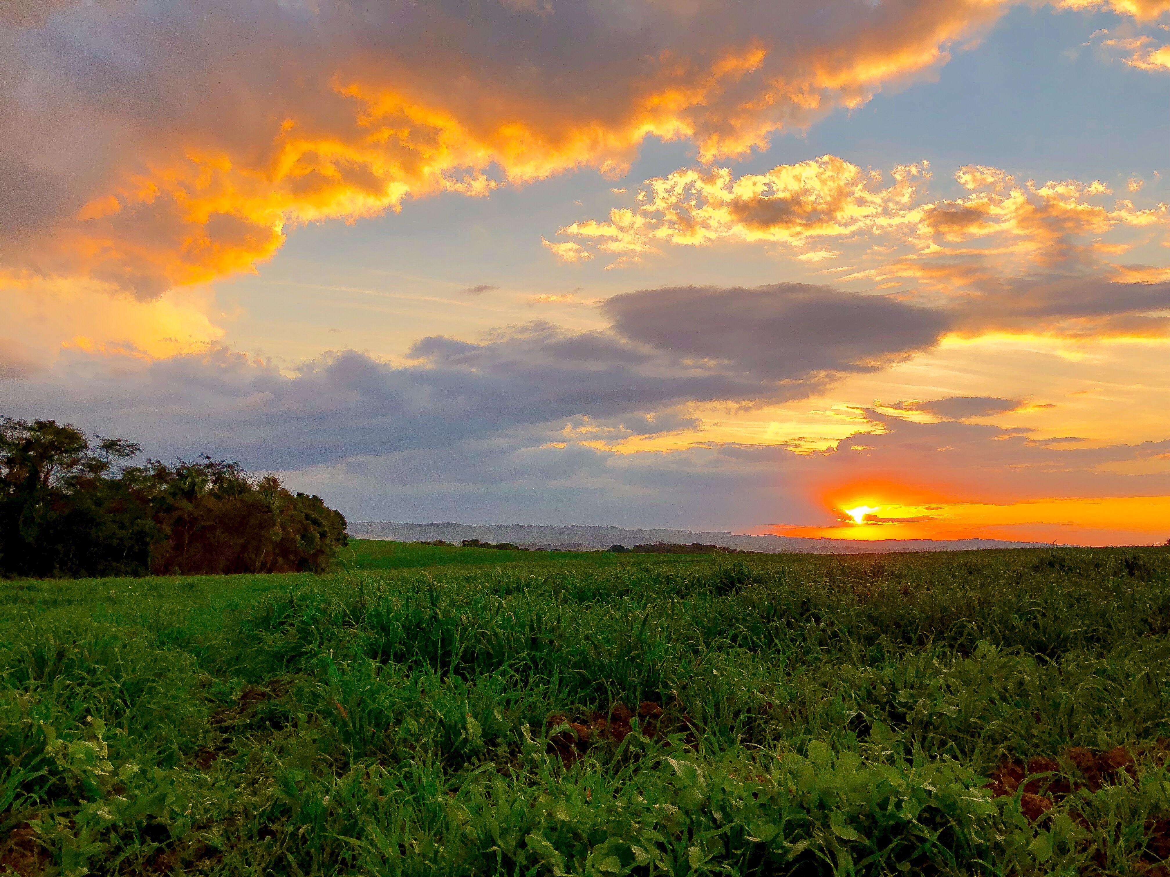 Day Tour | Hoi An Sunset Tour - Traveling by Jeep