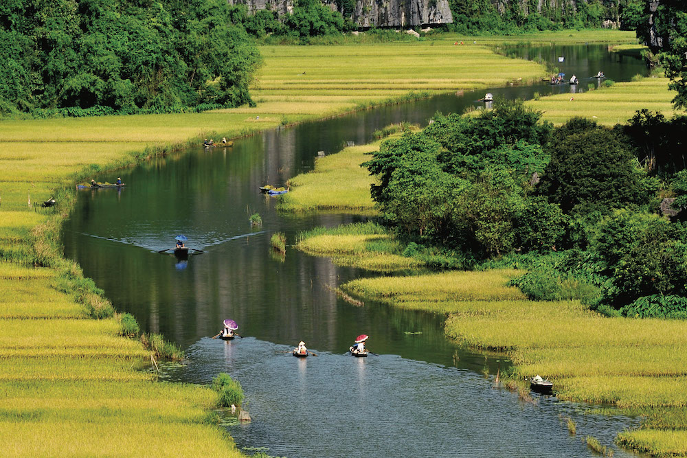 Day tour | Visit Hoa Lu - Tam Coc - Hang Mua - Cycling | Ninh Binh