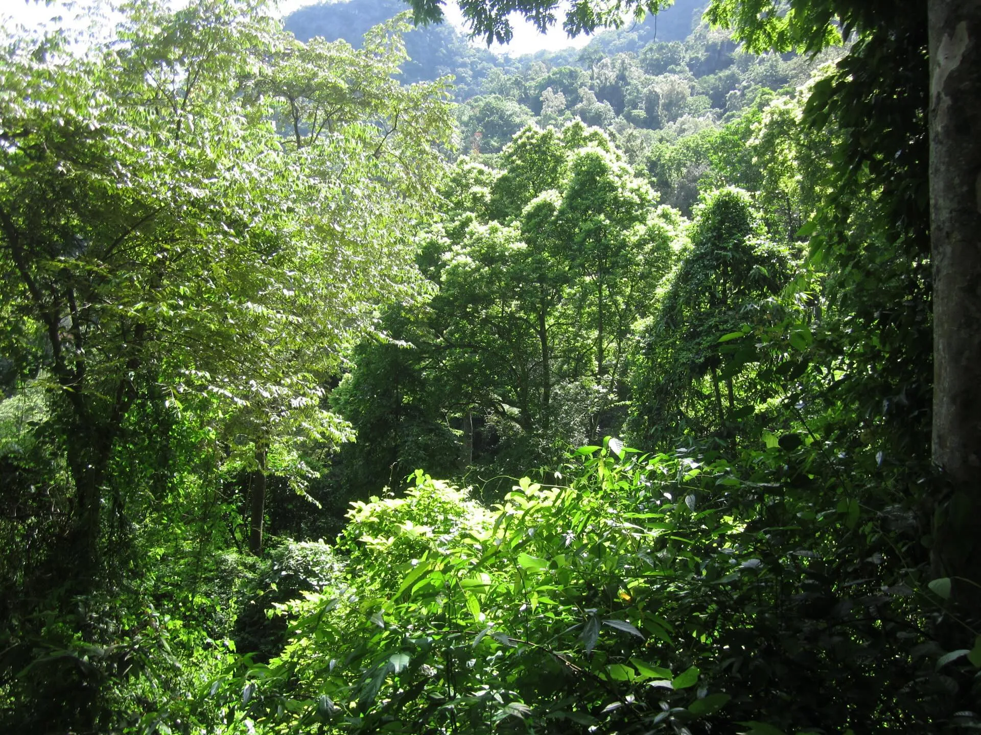 Day Tour | Discover "Paradise on Earth" | Hue