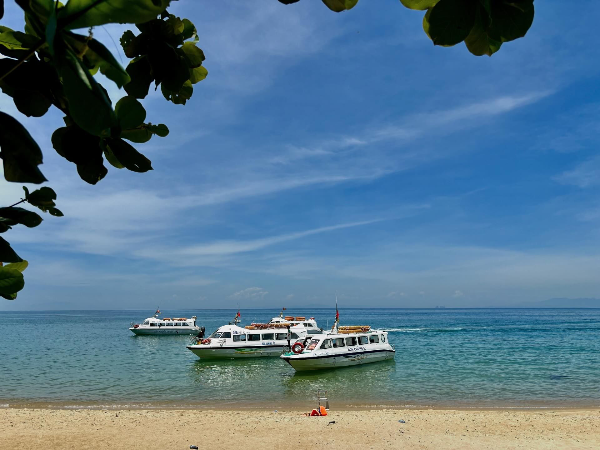 Day Tour | Snorkeling Excursion to Cu Lao Cham - Departing from Da Nang