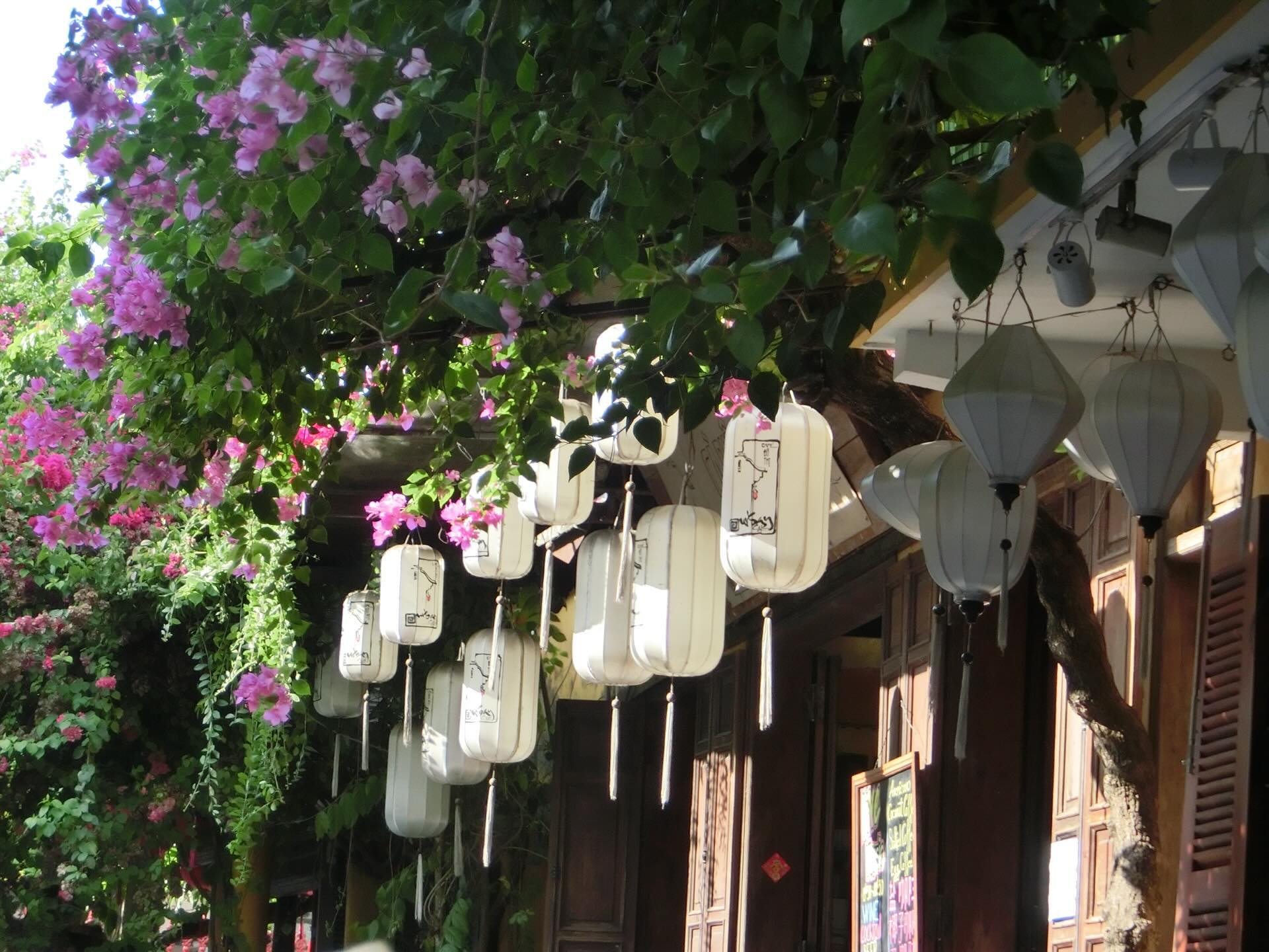 一日游 I 乘坐威士忌摩托车探索古城会安