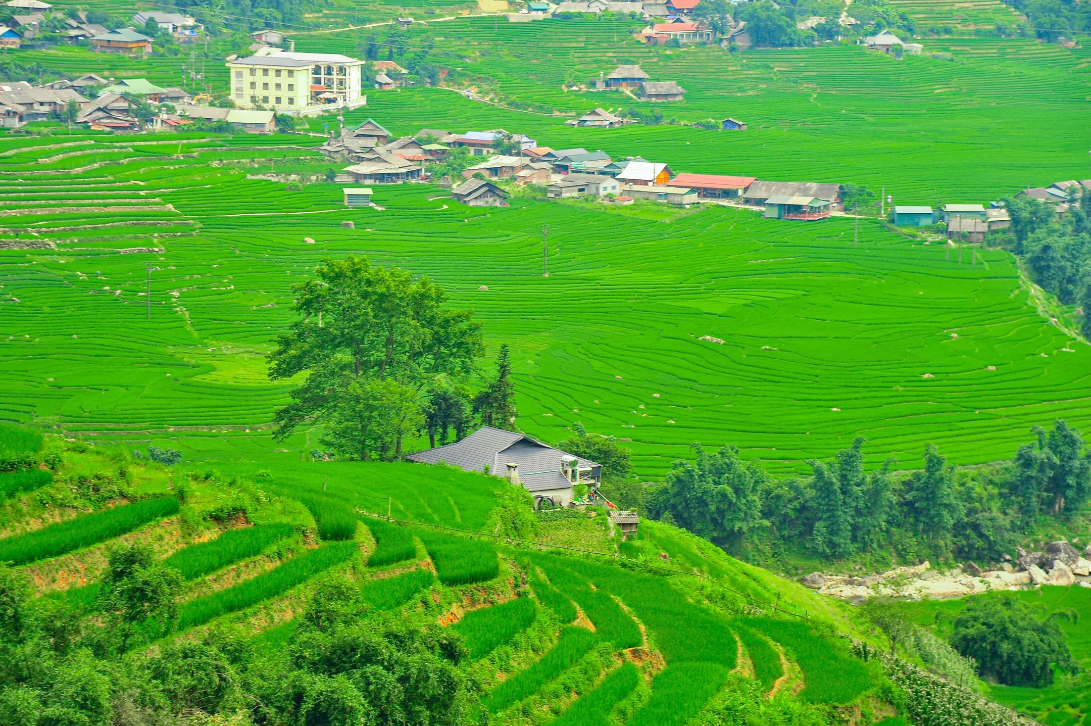 Tour 2N1D | Khám Phá Sapa Ngủ Tại Bản Tả Van