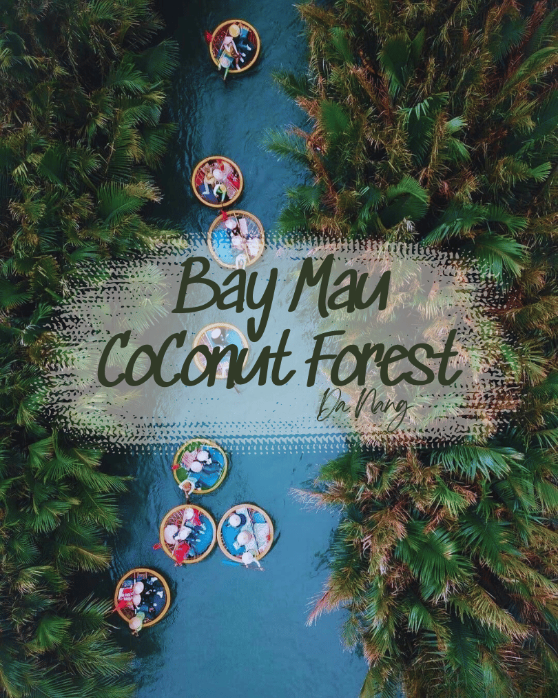 Day Tour | Explore Bay Mau Coconut Forest & Enjoy a Specialty Lunch