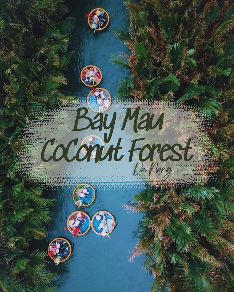 Day Tour | Explore Bay Mau Coconut Forest