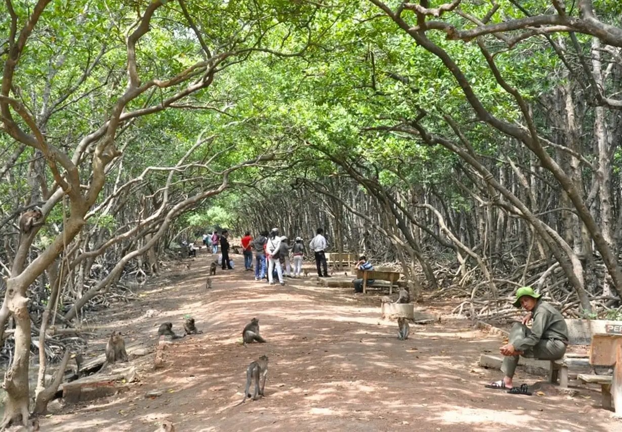 Tour trong ngày I Khám phá Đảo Khỉ I Cần Giờ I Thành phố Hồ Chí Minh