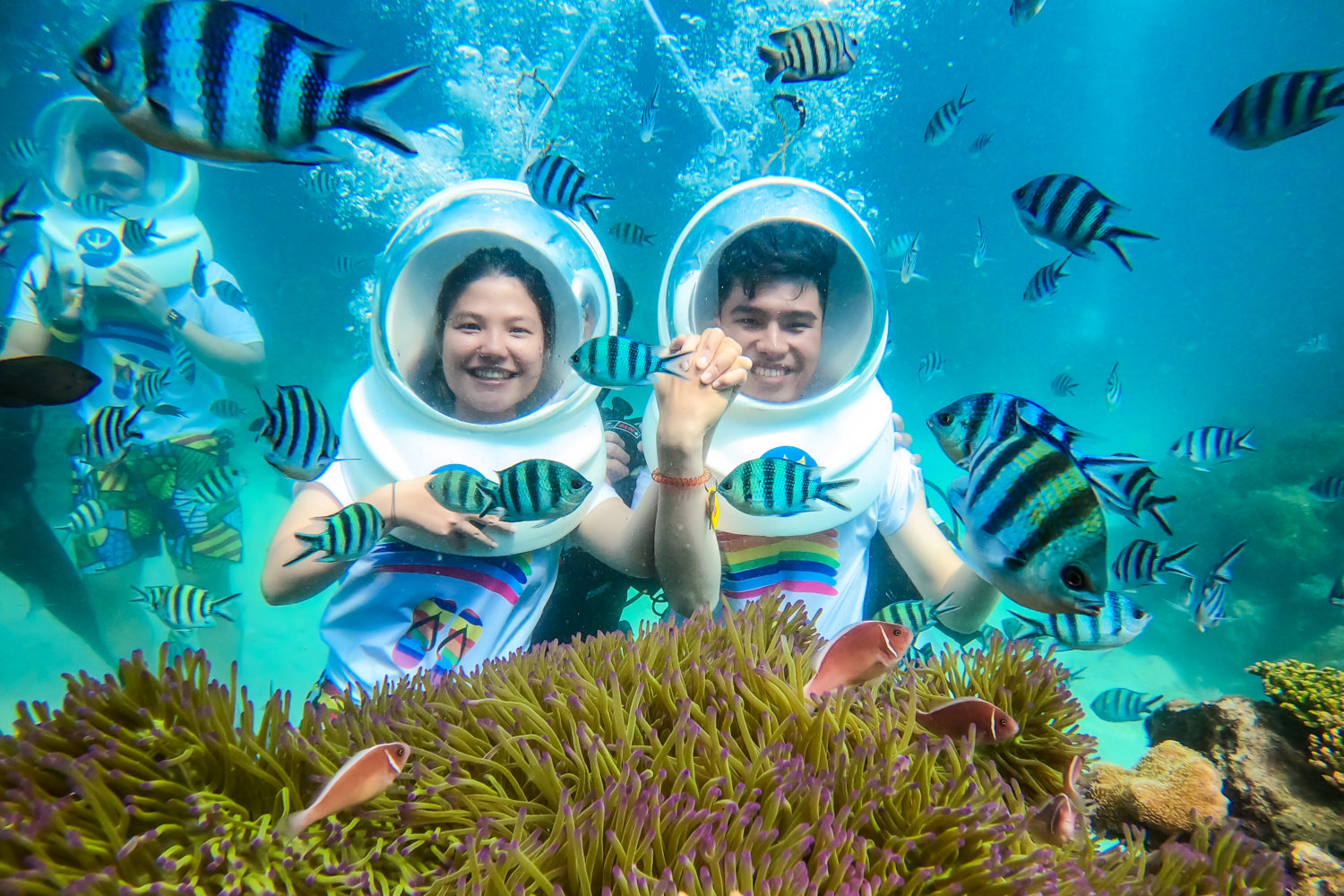 Day Tour | Sea Walking and Coral Watching Experience | Nha Trang