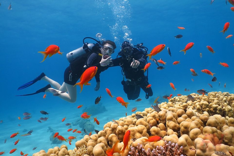 Day tour | Experience Scuba Diving at Nha Trang Diving Center