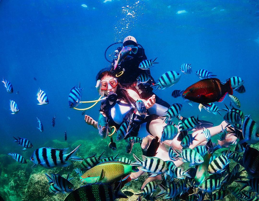 Day tour | Experience Scuba Diving at Nha Trang Diving Center