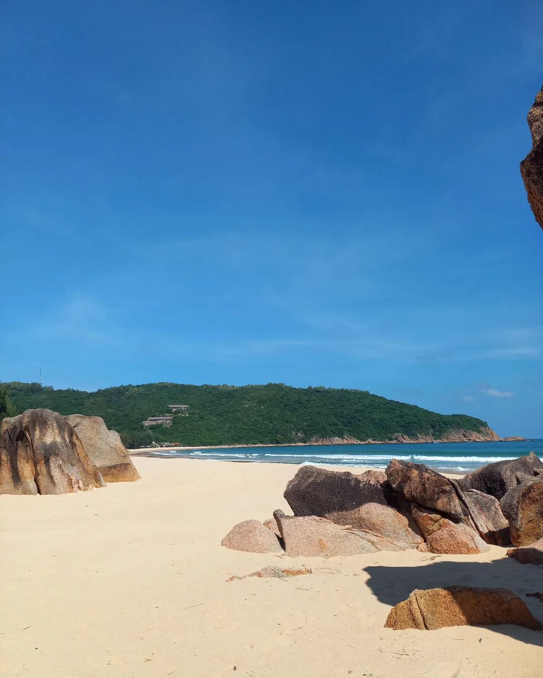 Day Tour | Explore Ancient Coral Reefs at Rai Cave | Visit Ninh Thuan Vineyard and Fairy Stream Sheep Field | Nha Trang | HOT