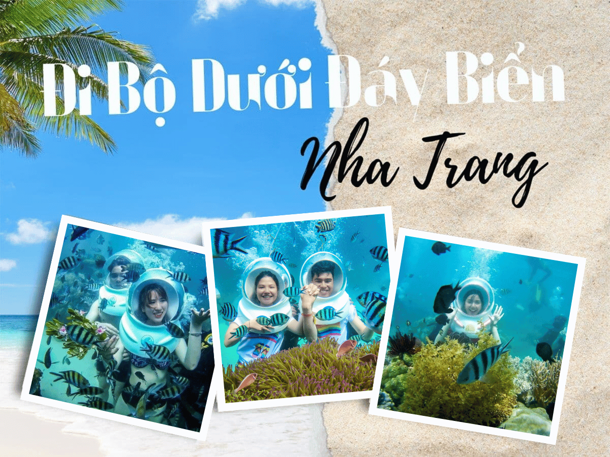 Day Tour | Sea Walking and Coral Watching Experience | Nha Trang