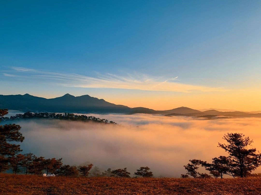 Day Tour | Cloud Hunting and Sunrise Experience in Da Lat | Departing from Da Lat City