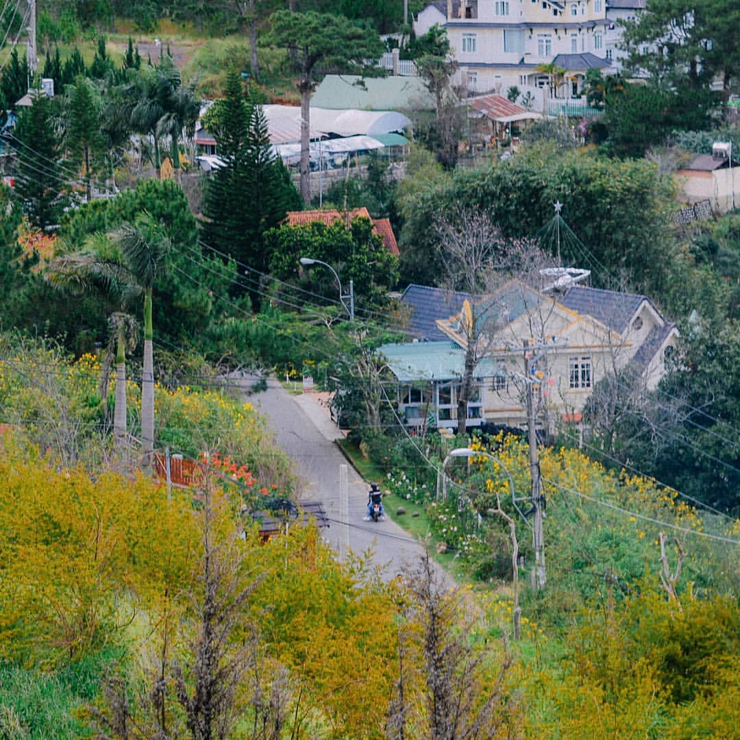 Day Tour | Experience Conquering Langbiang Mountain - Datanla Waterfall - Crazy House