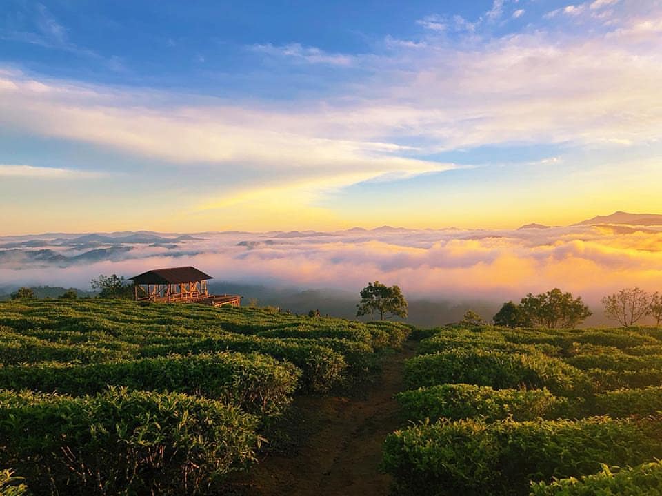 Tour trong ngày I Trải nghiệm Săn mây và Đón bình minh tại Đà Lạt I Khởi hành từ Thành phố Đà Lạt