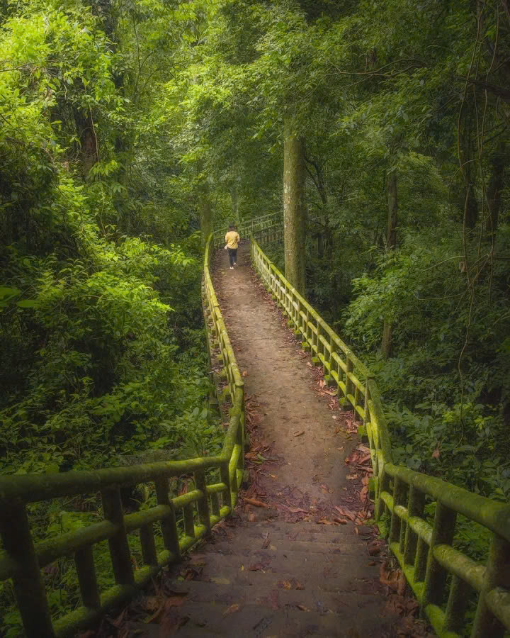 2 Days 1 Night Tour I Explore Cuc Phuong National Park and visit Hoa Lu/Bai Dinh - Trang An - Mua Cave, stay in a bungalow I Ninh Binh