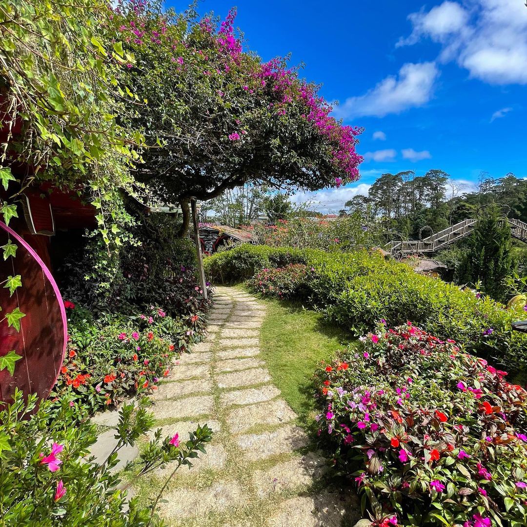 Entrance Ticket to Dalat Fairytale Land and Vinh Tien Wine Cellar I Da Lat