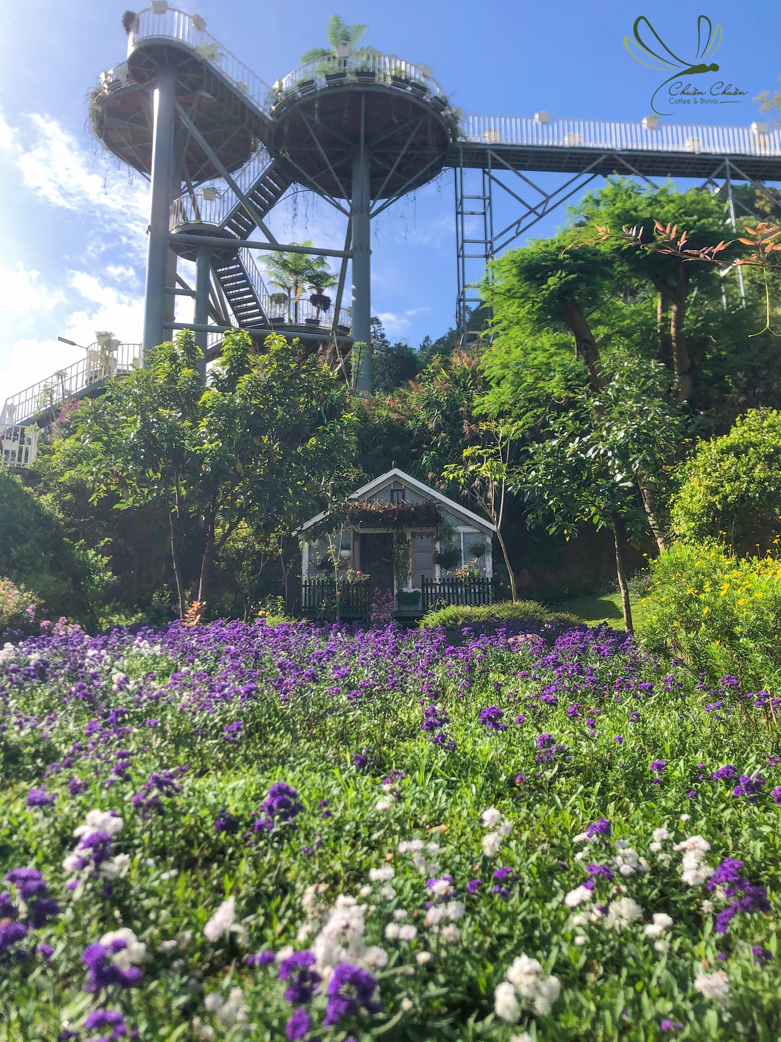 大叻蜻蜓餐厅门票