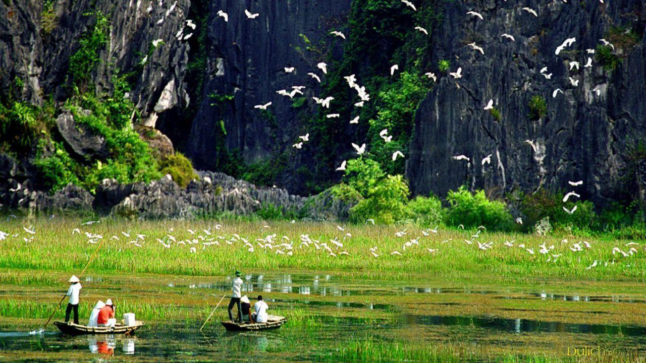 2D1N Tour | Explore Hoa Lu - Trang An - Mua Cave - Bich Dong - Thung Nham with a Stay at Trang An Heritage Garden | Ninh Binh