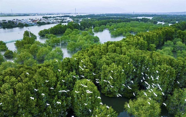 Day Tour | Experience the "Green Space" of Binh Dinh Province I Quy Nhơn