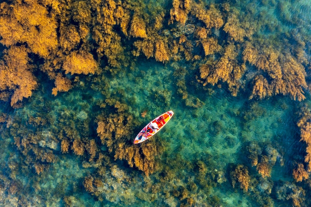 一日游 我参观 Hon Kho - 在 Phu Yen I Quy Nhon 潜水看珊瑚