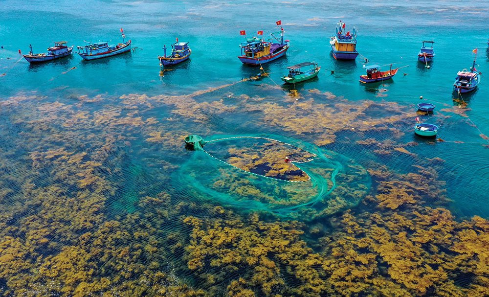 Day Tour | Explore Hon Kho - Snorkeling at Phu Yen | Quy Nhon