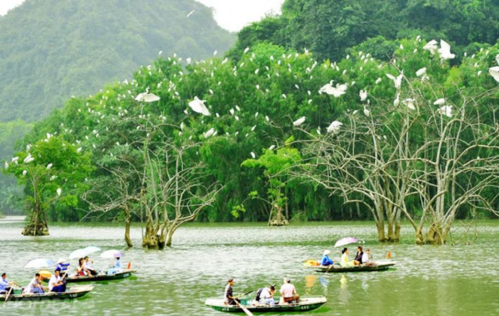 Tour trong ngày I Trải nghiệm ''Không gian Xanh'' của Tỉnh Bình Định I Quy Nhơn