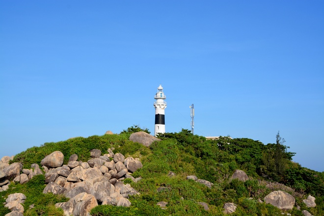 Day tour | Explore Cu Lao Xanh Island and Thao Nguyen Rock Field | Quy Nhon