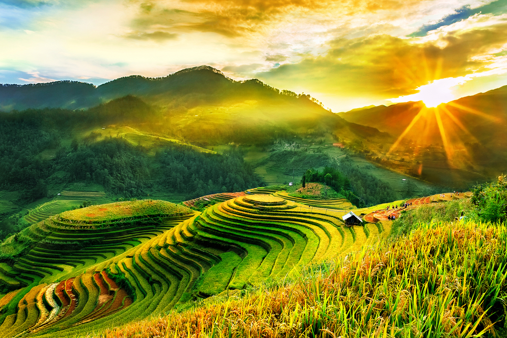 3D2N Tour | Explore the "Misty Land" of Sapa and Experience an Overnight Stay in Ta Van Village | Sapa