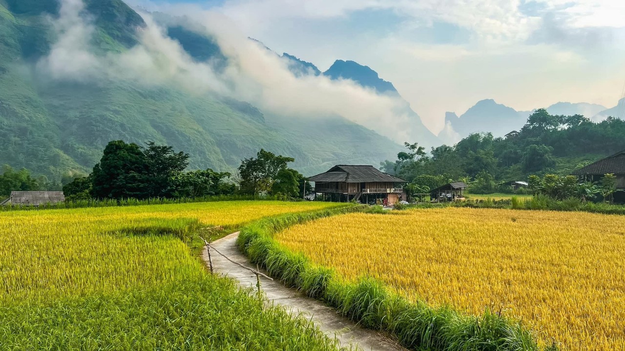 4D3N Tour | Explore Ha Giang by Motorbike Departing from Hanoi | Ha Giang