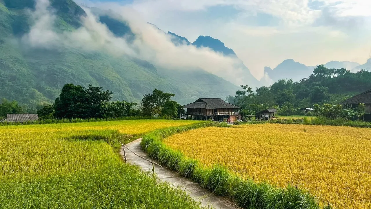 3D2N Tour | Explore Ha Giang by Motorbike Departure from Hanoi | Ha Giang