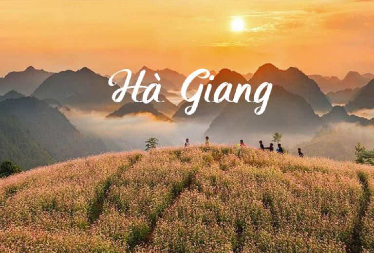 Tour 3N2Đ I Tour khám phá Hà Giang bằng xe Limousine cao cấp khởi hành từ Hà Nội I Hà Giang