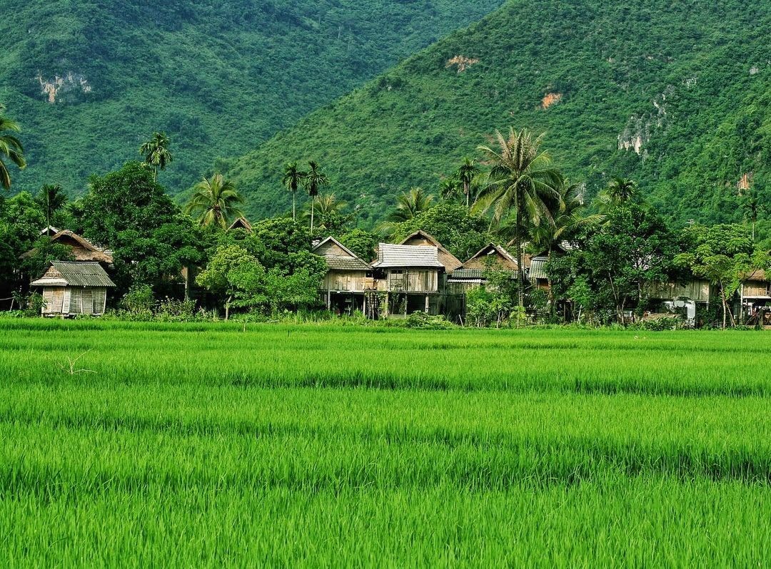 Tour 2N1Đ I Khám phá Thung lũng Mai Châu và Cao nguyên Mộc Châu I khởi hành từ Hà Nội vào thứ 7 hàng tuần