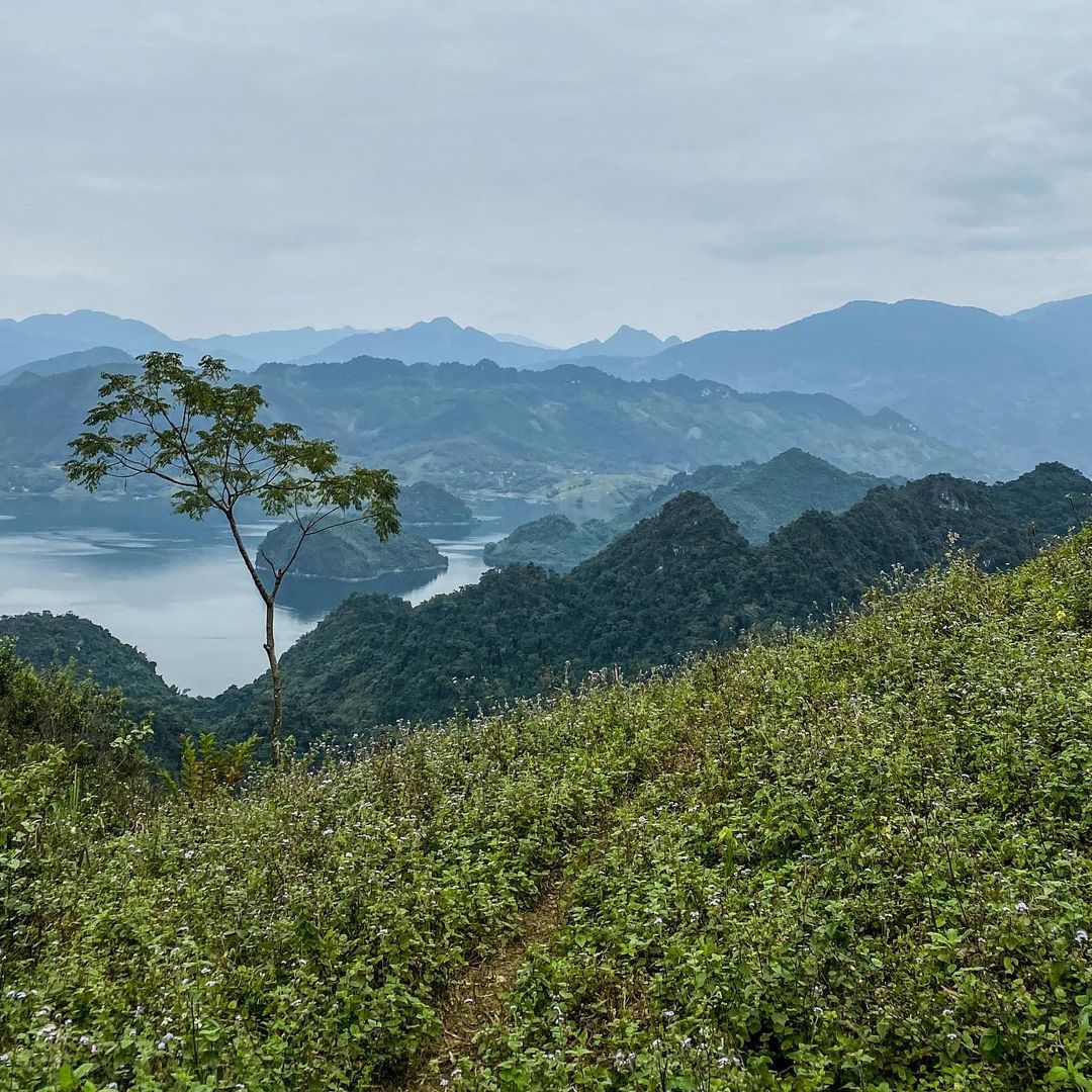 Tour trong ngày I Khám phá Thung lũng Mai Châu trong ngày khởi hành từ Hà Nội