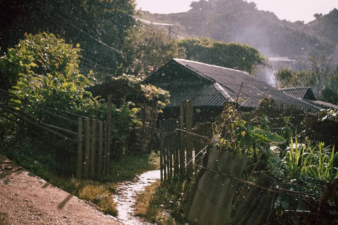 Day Tour | Explore Mai Chau Valley in a Day | Departing from Hanoi