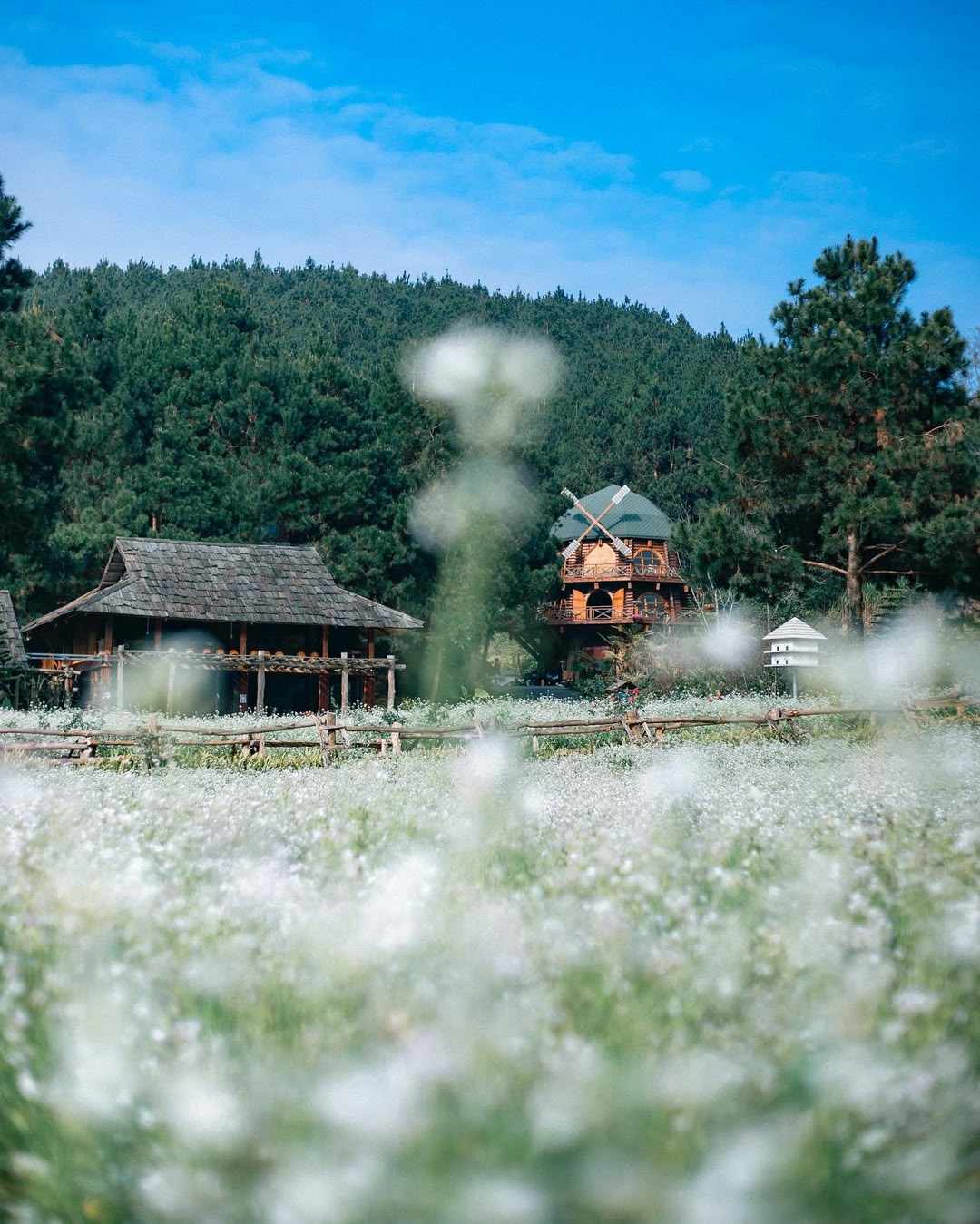 两天一夜的旅行，探索麦昭山谷和木州高原，每周六从河内出发。