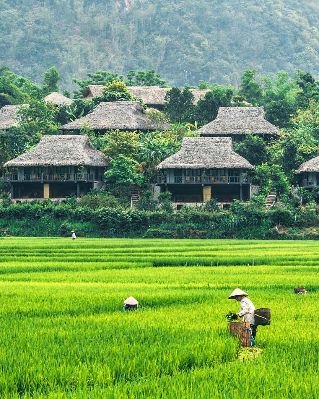 2D1N Tour | Explore Mai Chau Valley and Experience the Culture of the Thai People Departing from Hanoi