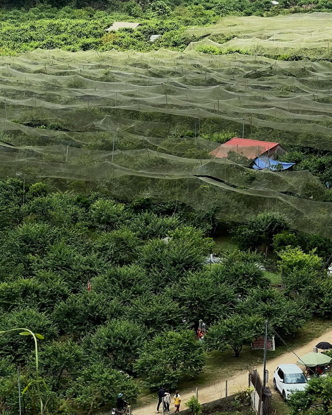 Tour 2N1Đ I Khám phá Thung lũng Mai Châu và Cao nguyên Mộc Châu I khởi hành từ Hà Nội vào thứ 7 hàng tuần